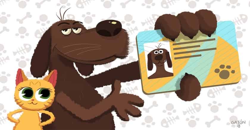 Registro Nacional de Mascotas cumple 8 años: animales más populares en Chile