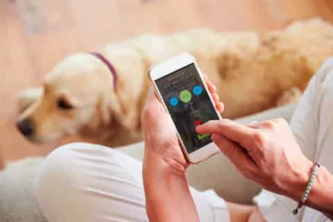 La mejor tecnología para el seguimiento de salud de tu perro: collares inteligentes, apps y gadgets